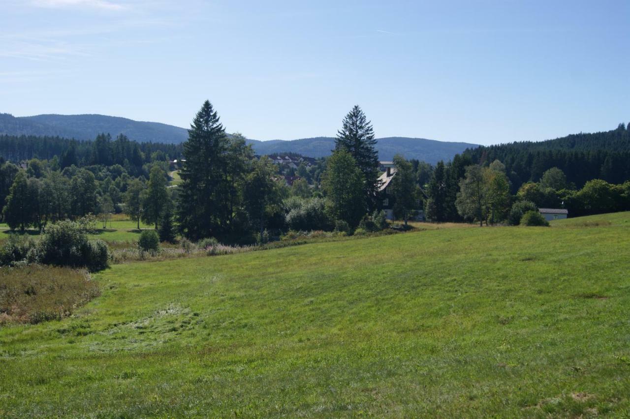 Ferienwohnung Schwarzwaldlust Schluchsee Extérieur photo